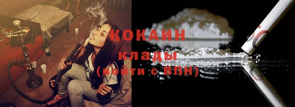твердый Ельня