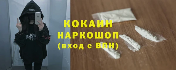 прущие грибы Алзамай