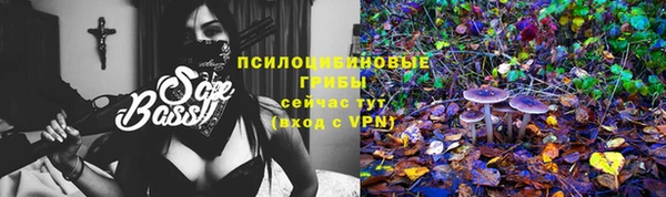спиды Абинск