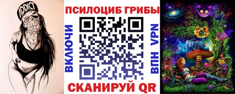 что такое Исилькуль Псилоцибиновые грибы Psilocybine cubensis