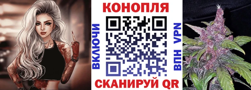 купить закладку  Исилькуль  Канабис индика 